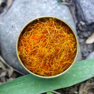 ریشه زعفران